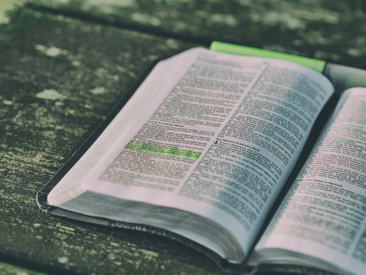 Open Bible image